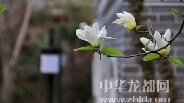 淮陽蓮舍，多了一份味道