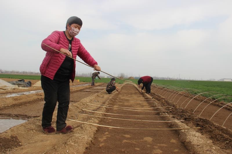疫情防控、春耕生產(chǎn)兩手抓
