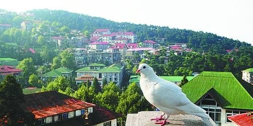  有著“云中山城”之稱的牯嶺鎮(zhèn)面臨著遷民下山。